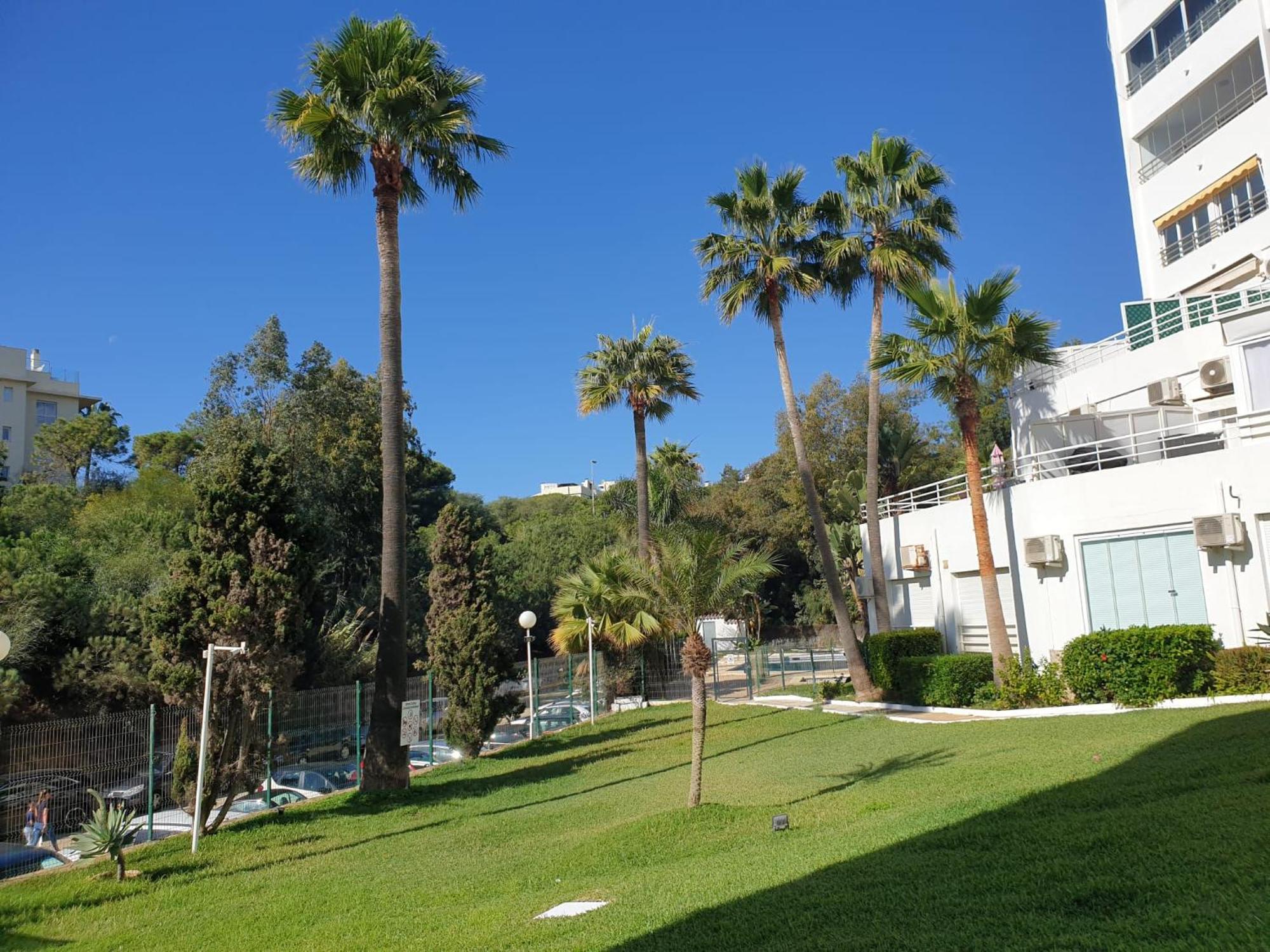 Estudio Con Increibles Vistas. Marbella Eksteriør billede